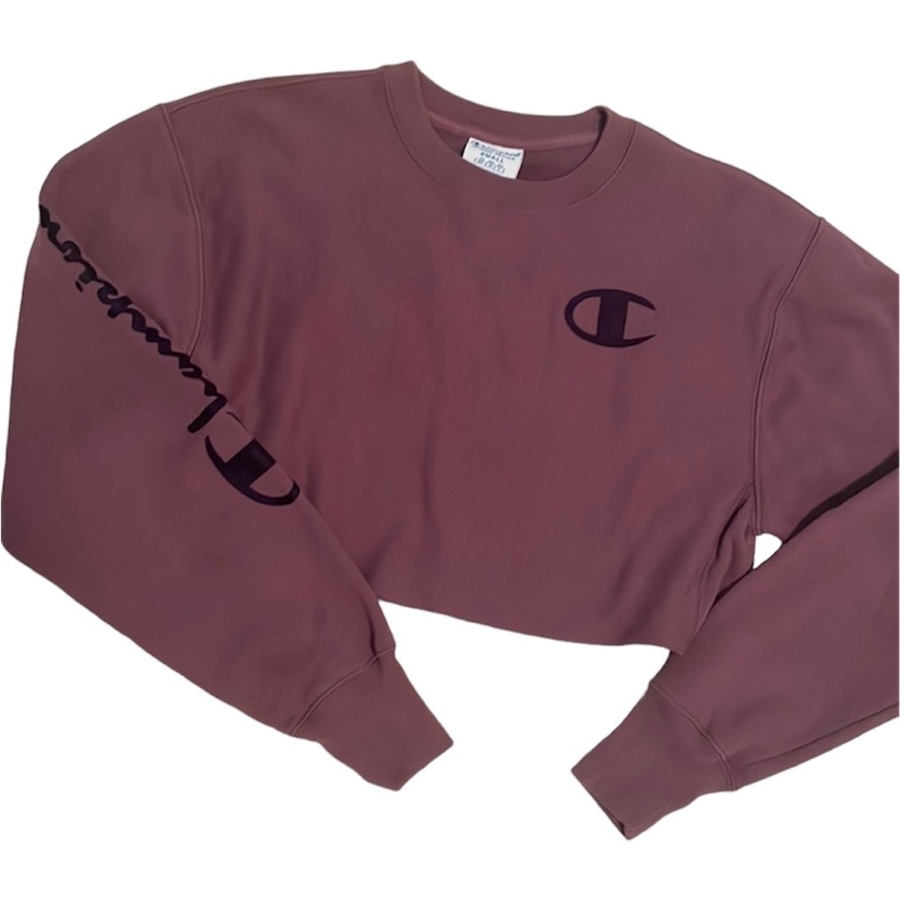 NWOT Champion Cropped Reverse Weave Crewneck